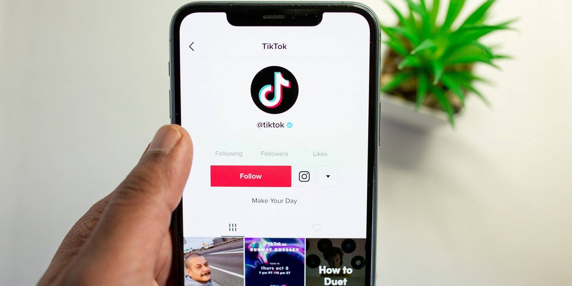 100 000 подписчиков — от $100 за пост: факты о TikTok в Украине