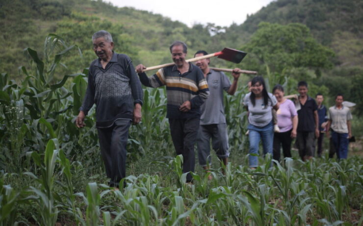 08e47411ecdbda3c161017d07ea9abaa