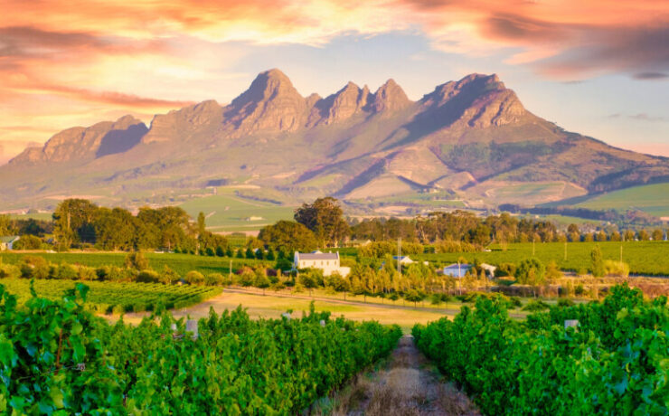 7485d9c9c2cc207cd2a1cc482bd912fc