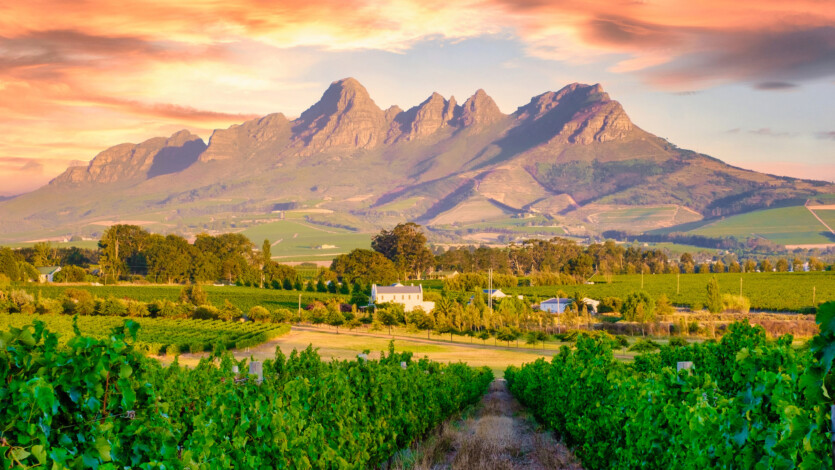 7485d9c9c2cc207cd2a1cc482bd912fc