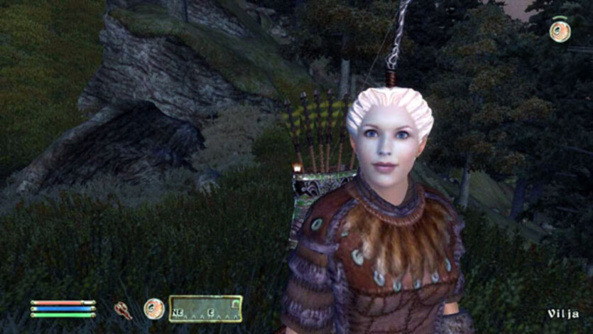 Письменник Террі Пратчетт працював над модами для Oblivion