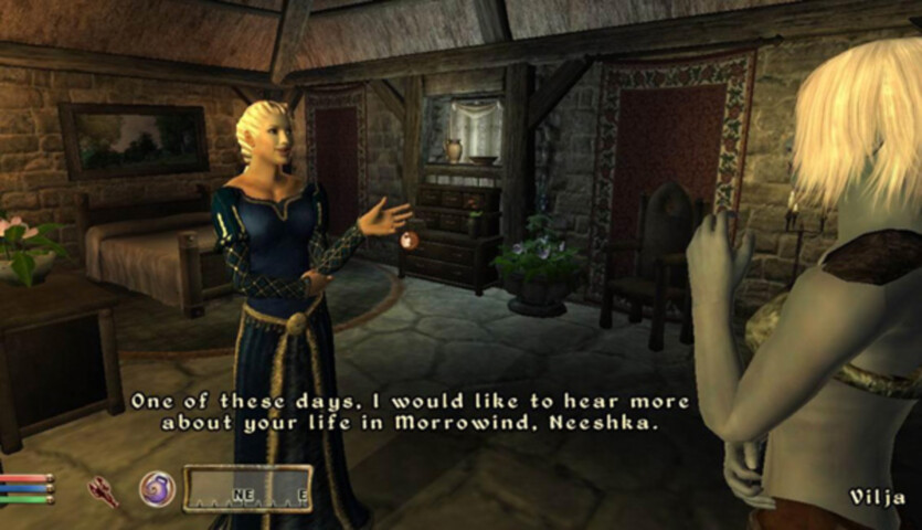 Письменник Террі Пратчетт працював над модами для Oblivion