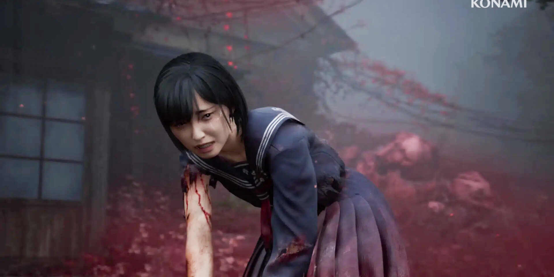 e9a280dd102fbd2a458f2f9e41115af2