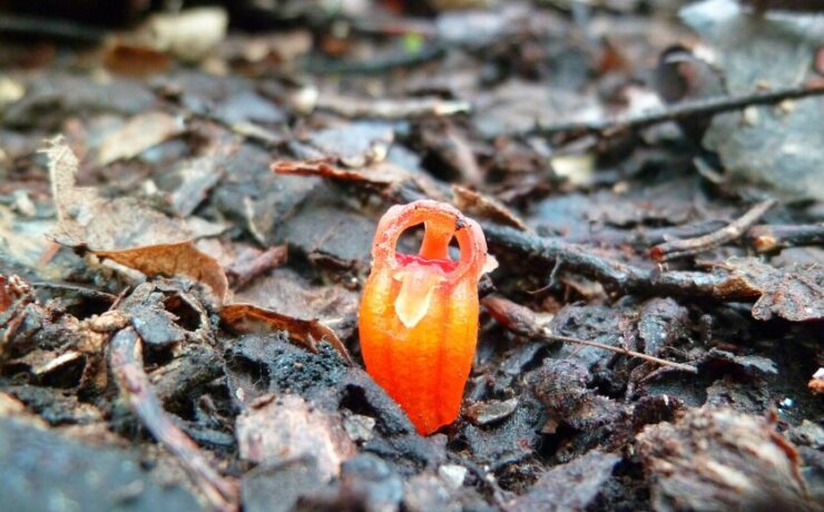 bc7d62a0a006cfcc9f25f45ac61620a3