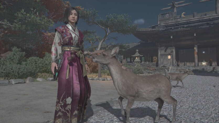 Assassin's Creed Shadows отримала велике оновлення — сюжетна місія, історії персонажів і купа фіксів