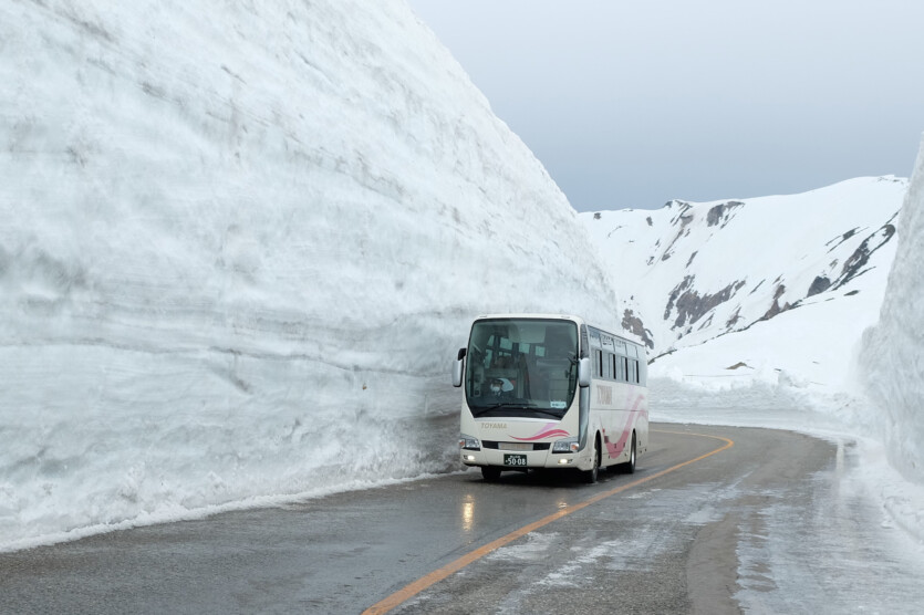 Електротранспорт шалено &laquo;жере&raquo; енергію на холоді &mdash; вчені з'ясували, чому, і як з цим боротися