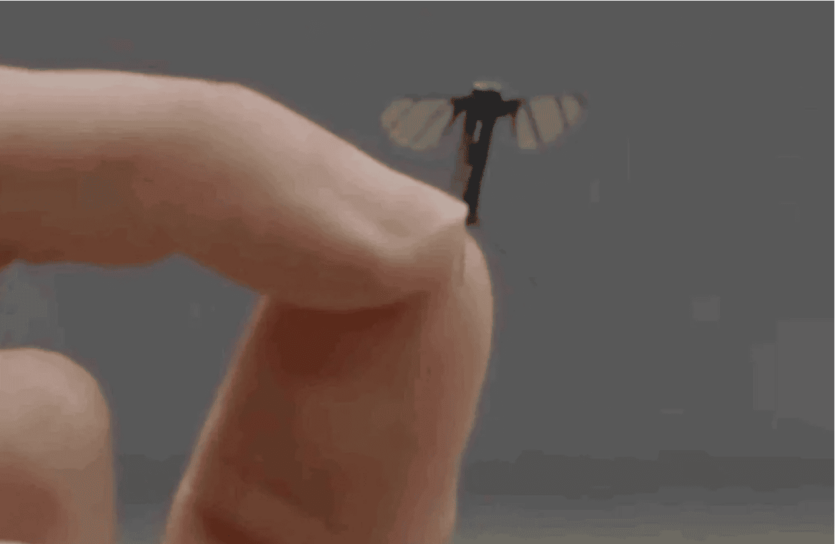 Новий китайський дрон-комар шпигуватиме абсолютно непомітно