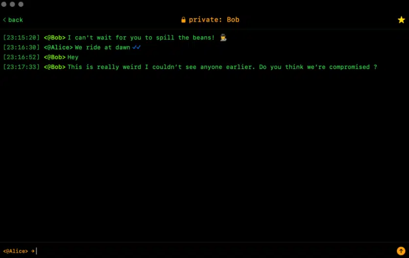 &laquo;Безпечний&raquo; месенджер Bitchat від творця Twitter не пройшов жодної перевірки безпеки