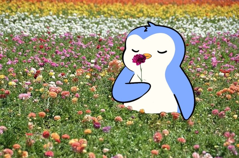 Ринок NFT раптово ожив і показав зростання на 182%