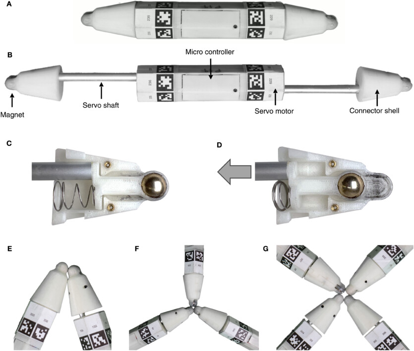 Ці роботи «ростуть» і «лікуються», «поїдаючи» інших