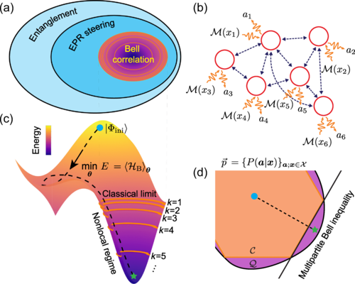 "Детектор квантової брехні": тест дозволяє відрізнити справжні квантові комп'ютери від імітаторів