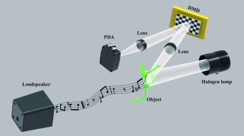 Візуальний мікрофон зчитує звук з мікроколивань освітлених предметів