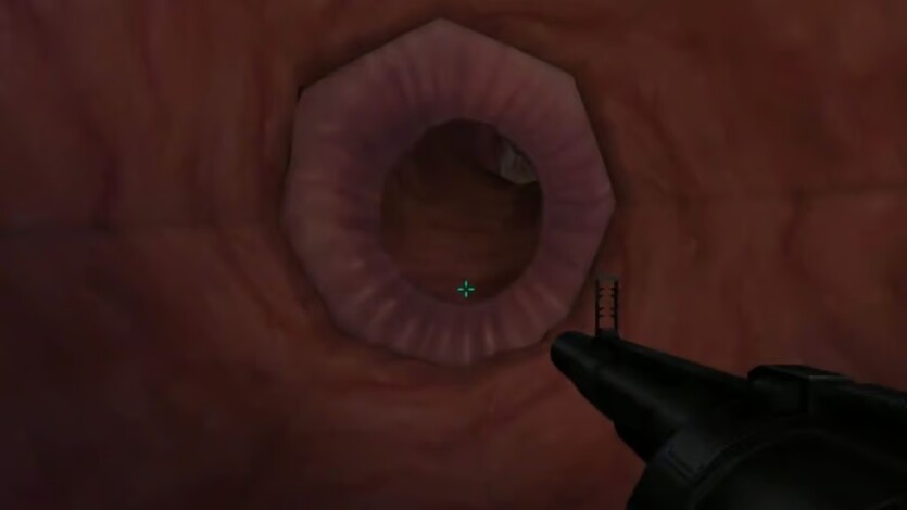 В System Shock 2 "двері сфінктера" не просто метафора &mdash; їх створили з реальної колоноскопії