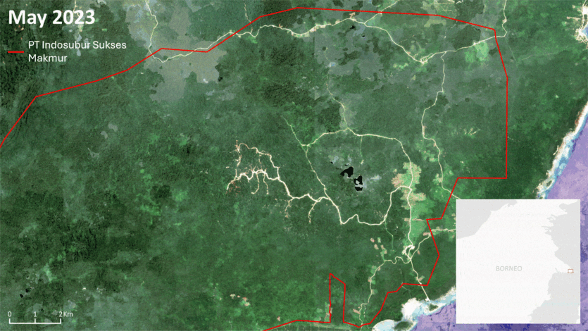 Популярні у США будинки на колесах зроблені зі знищеного лісу орангутанів, що зникають, &mdash; розслідування