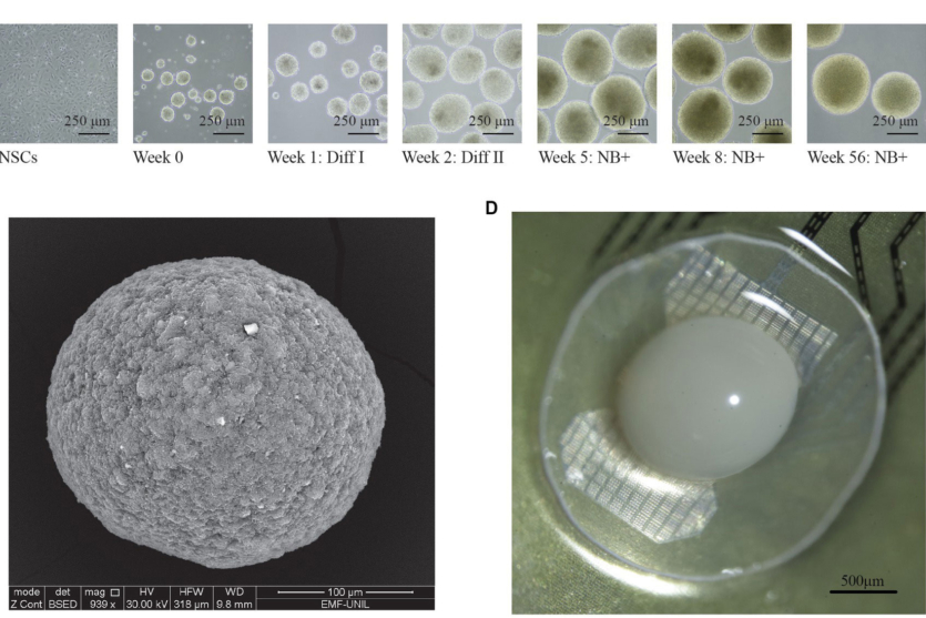 2502b8a02a11d19b8767fe25a3341a9b