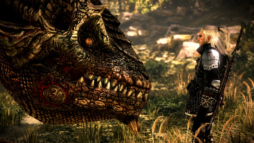 Керівник CD Projekt вважає вибір гілок сюжету The Witcher 2 марним витрачанням ресурсів