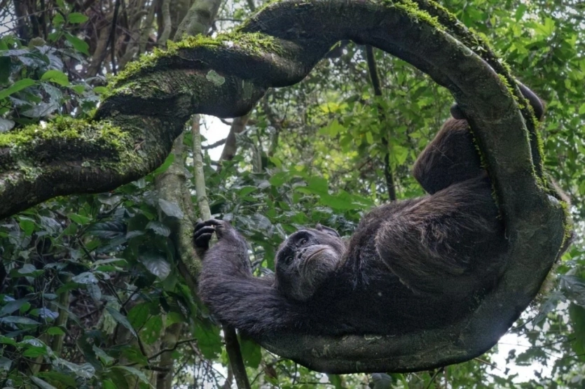 3cc9061b9aa0efc4fad82d598066ba59