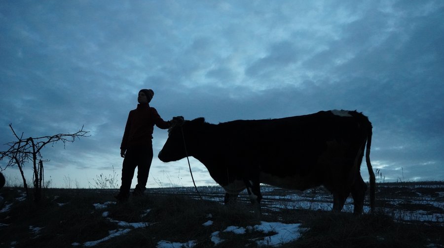 Шон Пенн знявся в українському фільмі за гонорар в $1