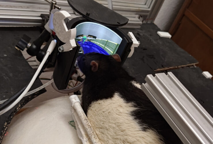 130146778bd99ab59094783dcec47cd7