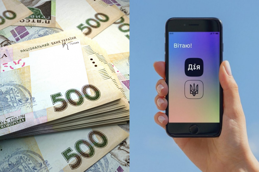 "Дія" помилково відкрила ФОП на українку, з неї вимагають ₴45 000 податку — ухвала суду