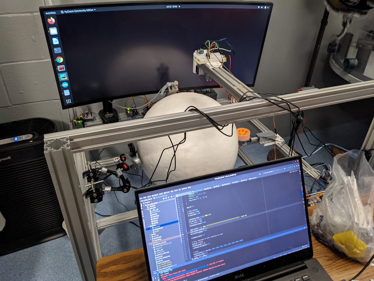 Щури, котрі грають в Doom, навчилися стріляти &mdash; експеримент відродився через чотири роки