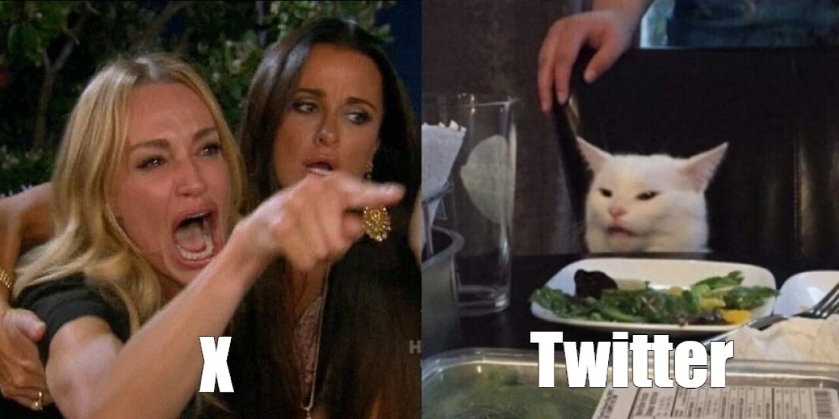 Операція "Синя пташка": стартап відроджує "вбитий" Маском Twitter у новій соцмережі