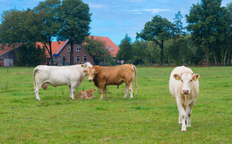 060907c7ab292b99bd318c8c4a5c7a94