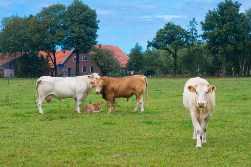 1047d66f12d447765db680d33abaeb09