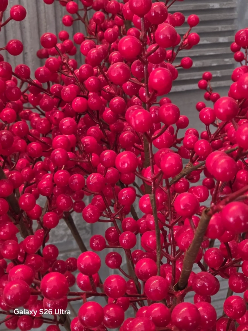 Перші фото з камери Samsung Galaxy S26 Ultra проти iPhone 17 Pro та Vivo X300 Pro: який смартфон знімає краще?