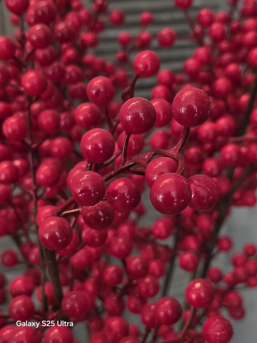 Перші фото з камери Samsung Galaxy S26 Ultra проти iPhone 17 Pro та Vivo X300 Pro: який смартфон знімає краще?