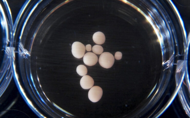 9e7bf28070a9d4c8ef0f3921304fc16f