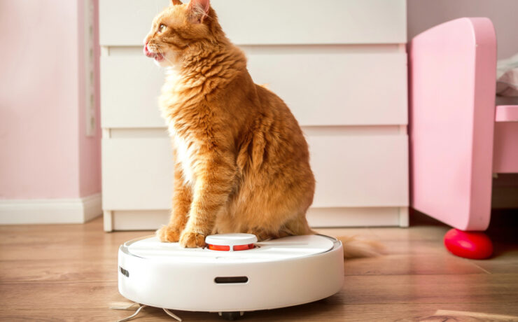 b9ec8ac2a7db0766a2d654d5563208fe