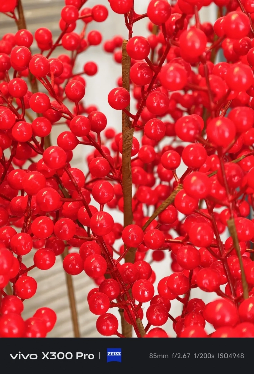 Перші фото з камери Samsung Galaxy S26 Ultra проти iPhone 17 Pro та Vivo X300 Pro: який смартфон знімає краще?