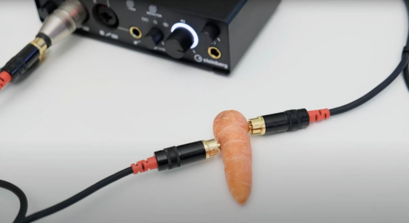 Аудіофіли провалили "сліпий" тест на чистоту звуку: його подавали через кабель, землю та банан