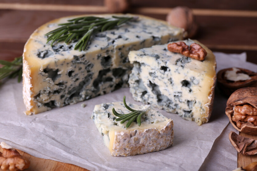 Сир є, корів немає: науковці навчили бактерій виробляти молокопродукт з нуля