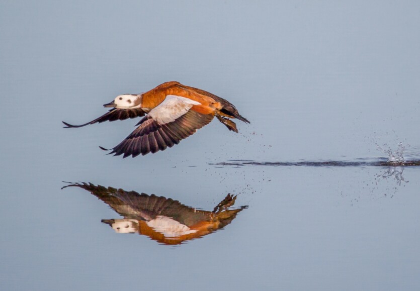 Чому матерія &laquo;вижила&raquo; у зіткненні з антиматерією? Вчені близькі до розгадки порушення симетрії Всесвіту